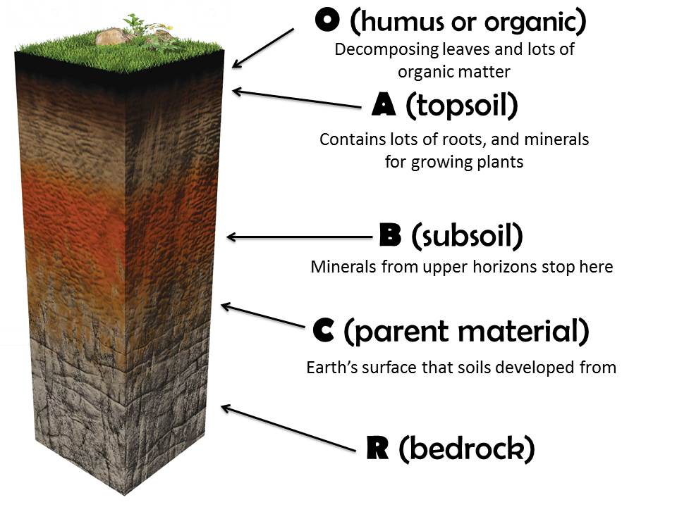 soil profile and soil horizon definition